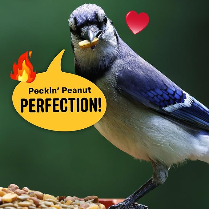 No Mess Sad Squirrels Hot Bird Seed – 10 lb. Spicy Shell-Free Blend with Peanuts, Sunflower Hearts & Chili Pepper Oil – No Waste, Squirrel-Resistant Bird Food for Outside Feeders