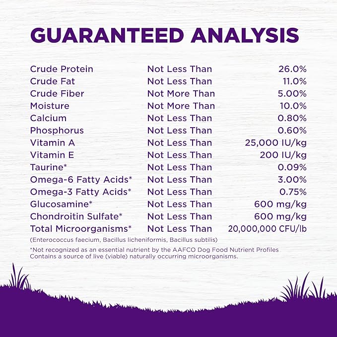 Wellness Natural Pet Food Complete Health Natural Grain Free Dry Dog Food, Chicken, 24-Pound Bag