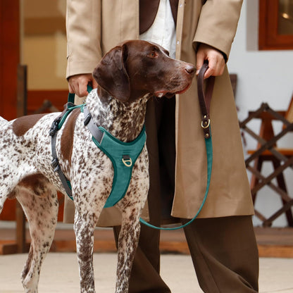 No Pull Dog Harness Medium Sized Dog,Stylish PU Leather Vest with Easy Control Handle,No Choke Front Clip with 2 Metal Leash Clips,Reflective & Adjustable for Walking,Light Blue,Chest 27-33"