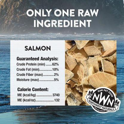 Northwest Naturals Raw Rewards Freeze-Dried Salmon Treats for Dogs and Cats - Bite-Sized Pieces - Healthy, 1 Ingredient, Human Grade Pet Food, All Natural, Proudly Made in USA, 2.5 Oz