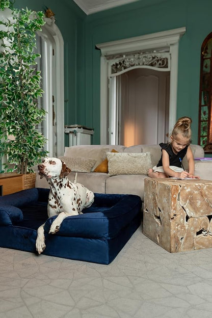 NOAH & PAW XL Dog Bed, 45x35x11 Inch, Orthopedic Large Dog Beds, Eggshell Memory Foam Infused with Cooling Gel, Inner Cover, Waterproof, Machine Washable (Velvet Sofa Collection)