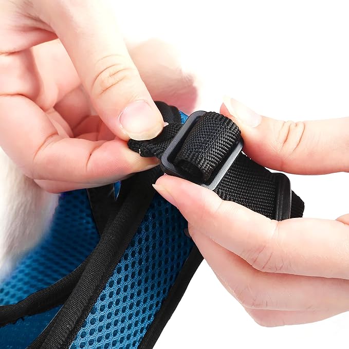 PETTOM Bunny Rabbit Harness with Stretchy Leash Cute Adjustable Buckle Breathable Mesh Vest for Kitten Small Pets Walking (Blue,L)