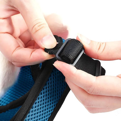 PETTOM Bunny Rabbit Harness with Stretchy Leash Cute Adjustable Buckle Breathable Mesh Vest for Kitten Small Pets Walking (Blue,L)