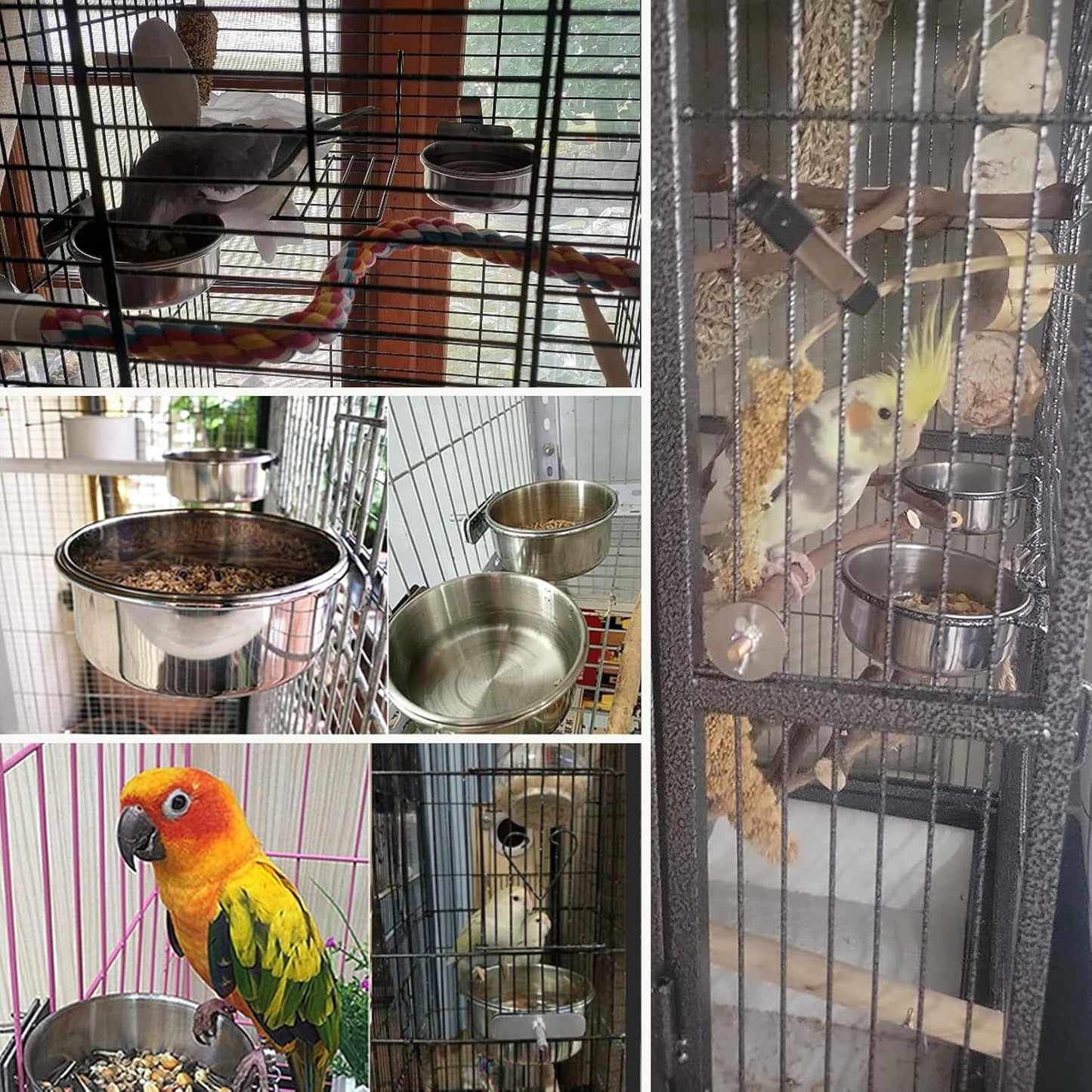 PINVNBY 6 Pieces Stainless Steel Bird Feeding Dish Cups,Parrot Feeder Parakeet Food Water Bowls with Clamp Holder & 6 Pcs Bird Spoon & 6 Pcs Birds Ball Toys for Budgies Macaw Small Animal(L)