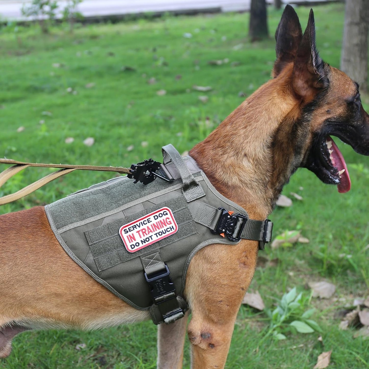 ICEFANG Tactical Dog Harness, Large Size,2X Metal Buckle,Working Dog MOLLE Vest with Handle,No Pulling Front Leash Clip,Hook and Loop Panel (Green,L (Pack of 1))