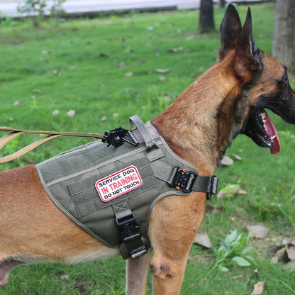 ICEFANG Tactical Dog Harness, Large Size,2X Metal Buckle,Working Dog MOLLE Vest with Handle,No Pulling Front Leash Clip,Hook and Loop Panel (Green,L (Pack of 1))