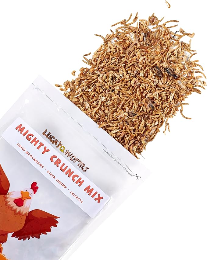 Mighty Crunch Mix Aquatic Turtle Food - 1 Lbs Resealable Bag of High Protein Insect Blend, Dried Mealworms, River Shrimp, Crickets - for Turtles, Reptiles & Amphibians, Chicken, Birds