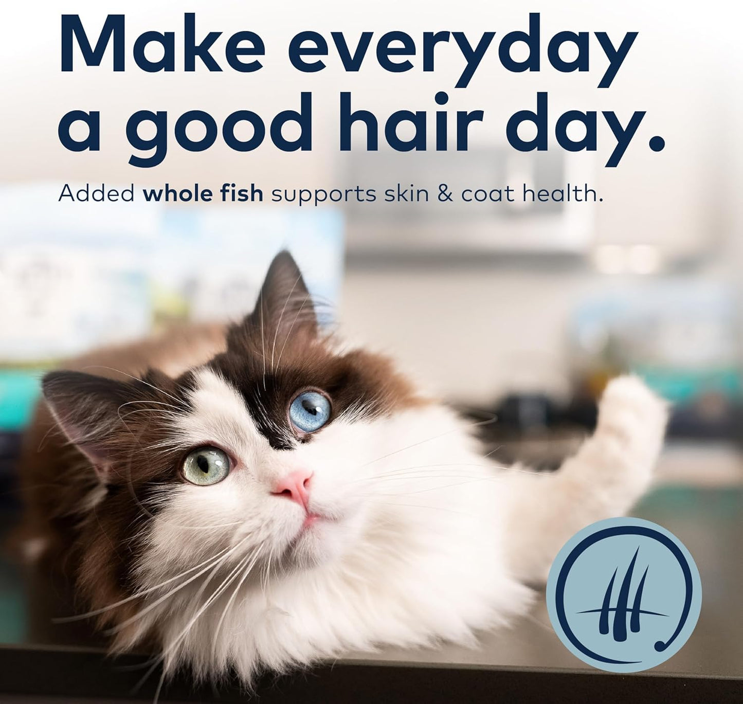 ZIWI Peak Steam & Dried Cat Food – Wild South Pacific Fish - High Protein, Skin & Coat Health, Low Carb, for All Life Stages (78.4oz)