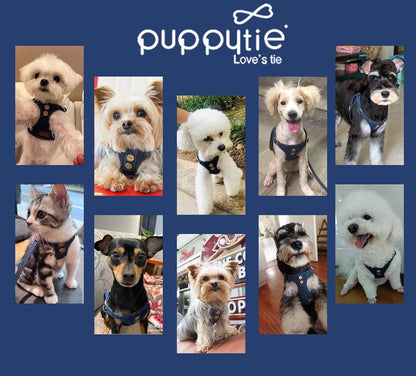 No Pull xs Dog Harness with Multifunction Dog Leash,Soft Adjustable No Choke Escape Proof Pet Harness Vest,Denim Blue,XXS