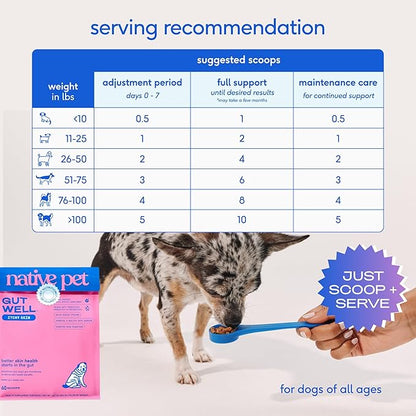 GutWell Itchy Skin - Dog Itching Skin Relief & Seasonal Allergy Itch Relief for Dogs - Promotes Skin Hydration, Elasticity & Healthy Barrier with Triple-biotic Blend, Zinc, & Vitamin E - 60 Scoops