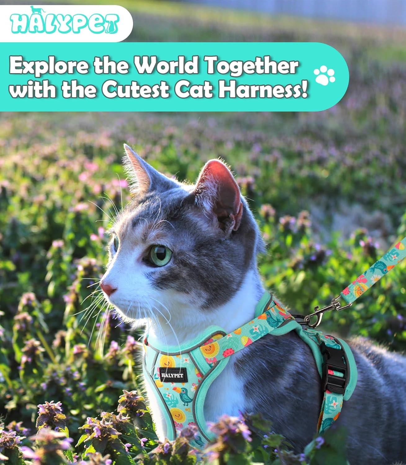 Halypet Cat Harness and Leash Set[MAX Safety 4th-Gen] Cute Escape Proof Vest Harness for Girl&Boy Cat Walking, Comfortable Adjustable Leash and Reflective Strips for Outdoor Kitten, XS Green Tropics
