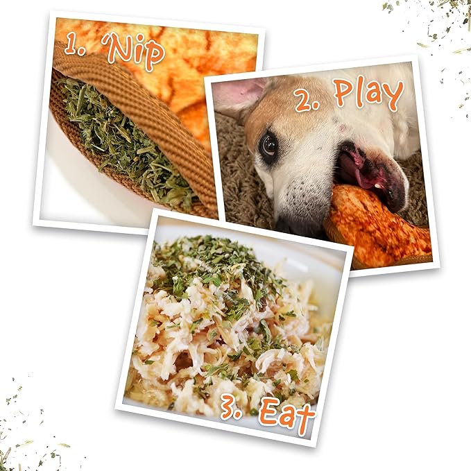 Doggijuana Tuffer Chewer Mini Plush Dog Toy | Funny Dog Toy Plush with Juananip Catnip for Dogs | Calming Aid for Dogs | Interactive Squeaky Chew Toy for Play (Chicken Wing)