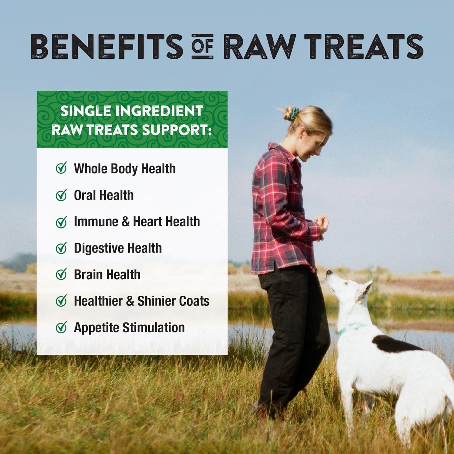 Northwest Naturals Raw Rewards Freeze-Dried Lamb Liver Treats for Dogs and Cats - Bite-Sized Pieces - Healthy, 1 Ingredient, Human Grade Pet Food, All Natural, Proudly Made in USA, 3 Oz (Pack of 3)