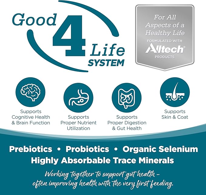 NutriSource Adult Dry Dog Food, Chicken and Rice, 12LB