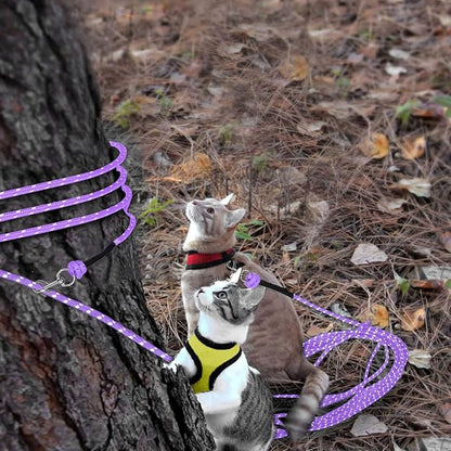 Rypet Reflective Cat Long Leash - 15 FT Escape Proof Walking Leads Yard Long Leash Durable Safe Personalized Extender Leash Traning Play Outdoor for Kitten, Puppy, Rabbit and Small Animals(Purple-S)