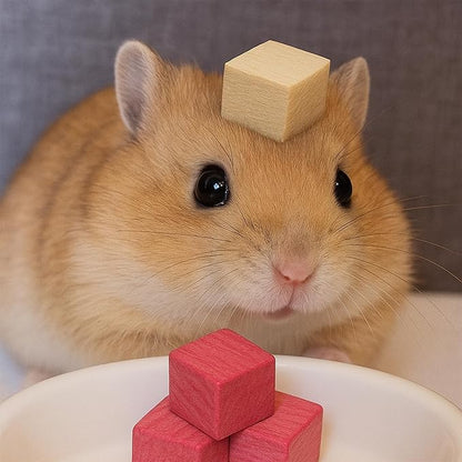 16 PCS Fruity Balsa Wood Chew Animal Toy for Rabbits Natural Chew Blocks for Hamster Chinchilla Guinea Pig,Molar Treats Snack for Small Animals Teeth Care (20x20x20mm)