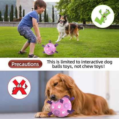 QDAN Dog Toys Soccer Ball with Straps - Durable Balls for Small Medium Dogs, Beach Pool Water Toy Dog Tug Toys for Tug of War, Puppy Pet Birthday Gifts (6 Inch)