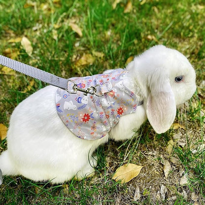 2-Pack Small Pet Harness & Leash Set – Soft, Adjustable Vest for Rabbits, Kittens, Squirrels & More (Grey, M)