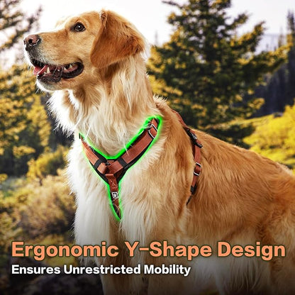 PawsPassion Dog Harness for X-Large Dogs, No Pull Dog Harness Easy Walk with Metal Hardware, Ergonomic Y-Shaped Design, Soft Padding, Padded Handle, Durable High-Tensile Nylon (Canyon Red, XL)