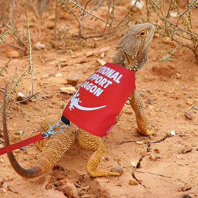 Romansk Bearded Dragon Harness and Leash Set - Escape Proof Adjustable Lizard Reptiles Harness with Short Leash for Walking Outdoor - Fun Emotional Support Dragon Designs