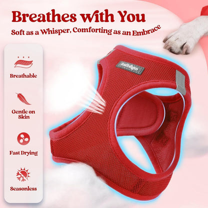 rabbitgoo Dog Harness Small Sized and Leash Set, Step in Soft Light Puppy Vest, Breathable Mesh Pet Harness, Reflective for Outdoor Safe Walking, Red XXXS