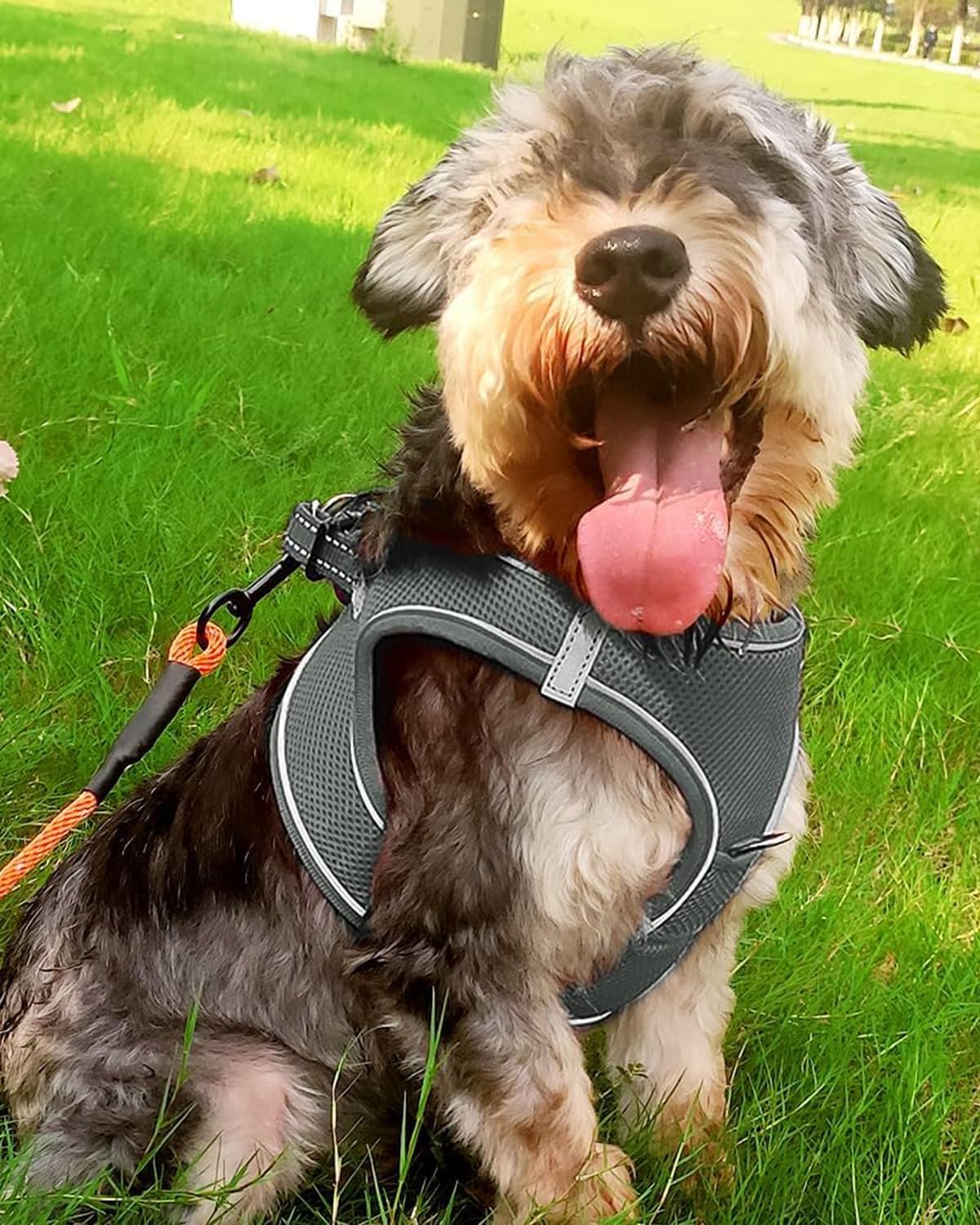 Joytale Small Dog Harness, Breathable Mesh Step-in Vest, Reflective Soft Padded Harnesses for Small and Medium Dogs, Gray, L