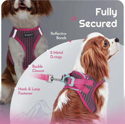 Eagloo Small Dog Harness and Leash Set, Step in Puppy Vest with Breathable Soft Mesh, Walking Reflective Pet Harness for Small Dogs, Rose Red, S