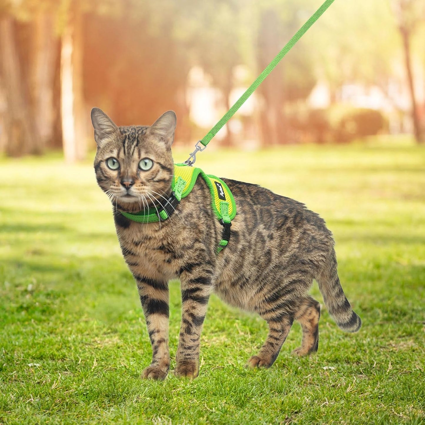 PUPTECK Cat Harness and Leash Set Escape Proof, Reflective Adjustable Soft Mesh Kitten Vest Harness for Walking Travel, Green, S