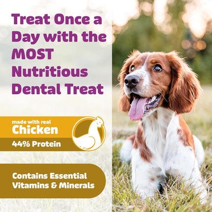 Yummy Combs Dog Dental Treats – Vet VOHC Approved – Delicious Chicken Protein – Removes Tartar with Cleaning Comb Shape – Dental Dog Treats for Extra Large Dogs (12oz, 6 Count)