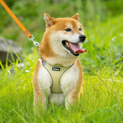 AIITLE Escape Proof Dog Harness - Step in Adjustable Dog Harness No Choke Over with Breathable Mesh and Quick-Release Buckle for Summer- Outdoor Walking, Camping, Training for Medium Dogs Beige XL