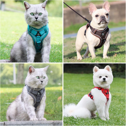 XL Cat Harness Escape Proof for Heavy Cats - Adjustable Vest Leash Set with 4 Buckles, Reflective Breathable Mesh for Extra Large Cats