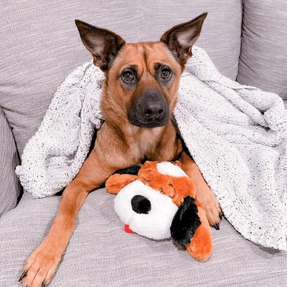 Original Snuggle Puppy Heartbeat Puppy Toy - Heartbeat Puppy for Dogs - Pet Anxiety Relief and Calming Aid - Comfort Dog Toy - Behavioral Training and Sleep Aid Cuddle buddy - Crate Training Essential