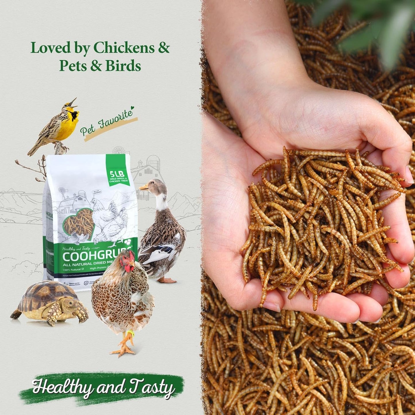 Dried Mealworms for Birds, Non-GMO High Protein Chicken Treats & Poultry Feed, 5 lb Bag