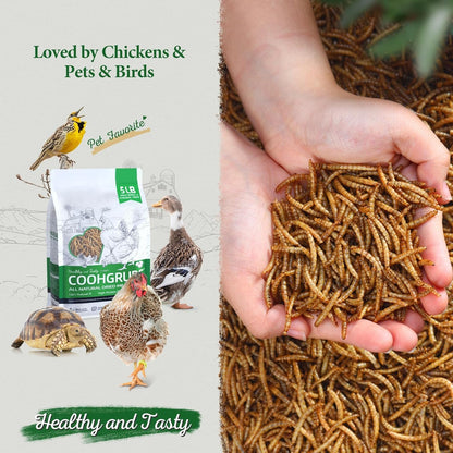 Dried Mealworms for Birds, Non-GMO High Protein Chicken Treats & Poultry Feed, 5 lb Bag