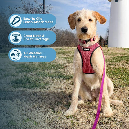 Best Pet Supplies Voyager Step-in Air Harness - All Weather Mesh, Reflective, No Pull Harness for Dogs, Cats - Secure with Hook & Loop Fastener, Buckle, Double D-Rings - Tone, XS