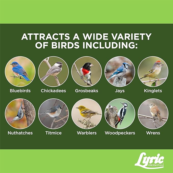 Lyric Fine Tunes No Waste Wild Bird Seed Suet Cakes for Wild Birds, 12 oz. (12 Pack)