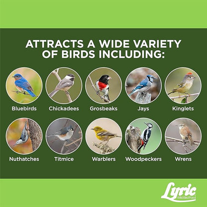 Lyric Fine Tunes No Waste Wild Bird Seed Suet Cakes for Wild Birds, 12 oz. (12 Pack)