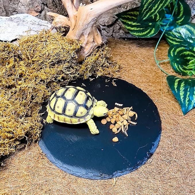 Reptile Basking Platform 2PCS 7.8IN Turtle Rock Slate Plate Feeding Plate Food Bowl Dish Tortoise Bathing Resting Terrace for Lizard Bearded Dragon Chameleon Gecko Snake Frog Newt