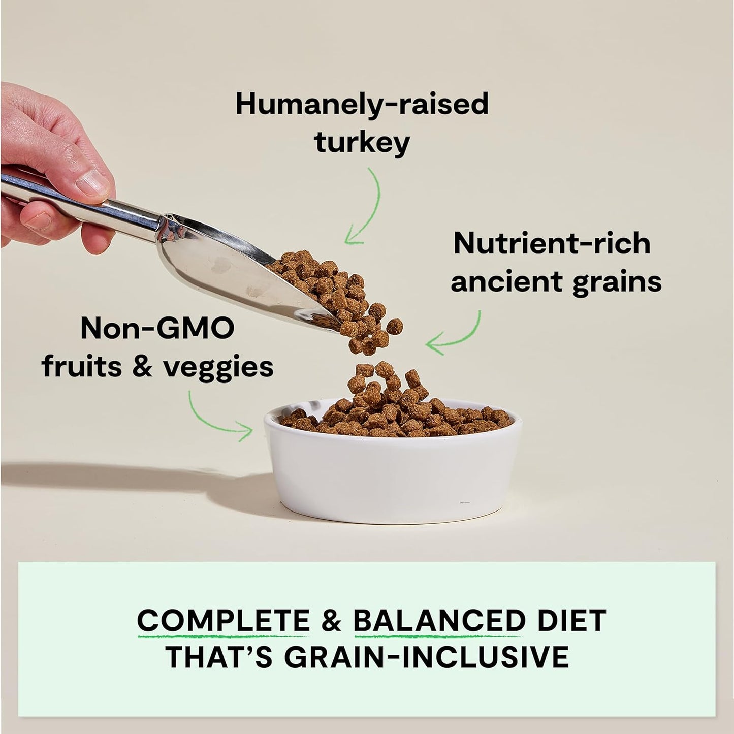 Open Farm, Ancient Grains Dry Dog Food, Protein-Rich & Nutrient Dense, 90% Animal Protein Mixed with Non-GMO Fruits, Veggies and Superfoods, Homestead Turkey Recipe, 4lb Bag