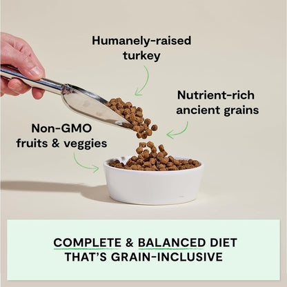 Open Farm, Ancient Grains Dry Dog Food, Protein-Rich & Nutrient Dense, 90% Animal Protein Mixed with Non-GMO Fruits, Veggies and Superfoods, Homestead Turkey Recipe, 4lb Bag