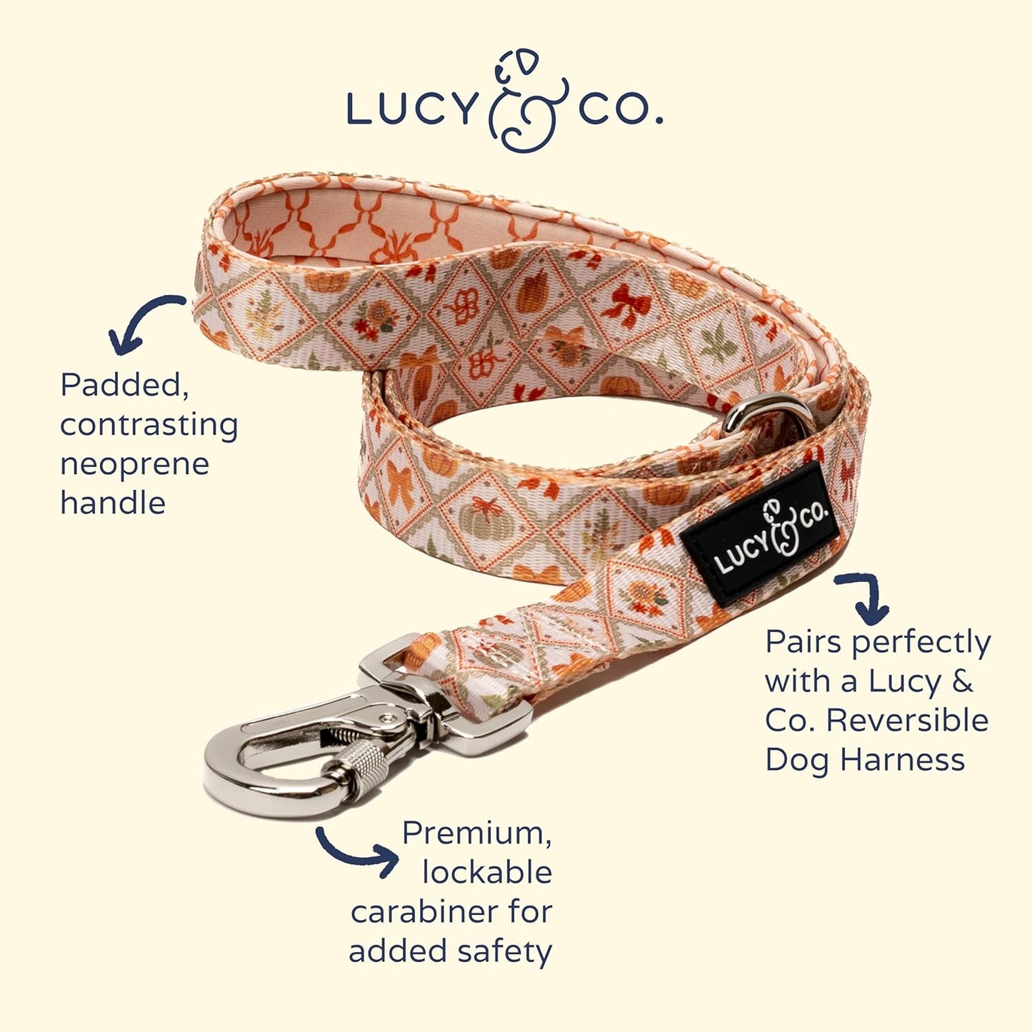 Lucy & Co. 5 Foot Designer Dog Leash for Small, Medium or Big Dogs or Puppies Puppy – Pet Accessories & Supplies- Small-Orange Cream Pumpkin