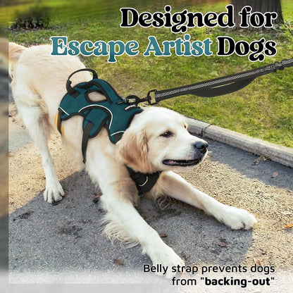 rabbitgoo Escape Proof Dog Harness, Soft Padded Full Body Pet Harness, Reflective Adjustable No Pull Vest with Lift Handle and Leash Clip for Large Dogs Walking Hiking Training, Dark Green, L