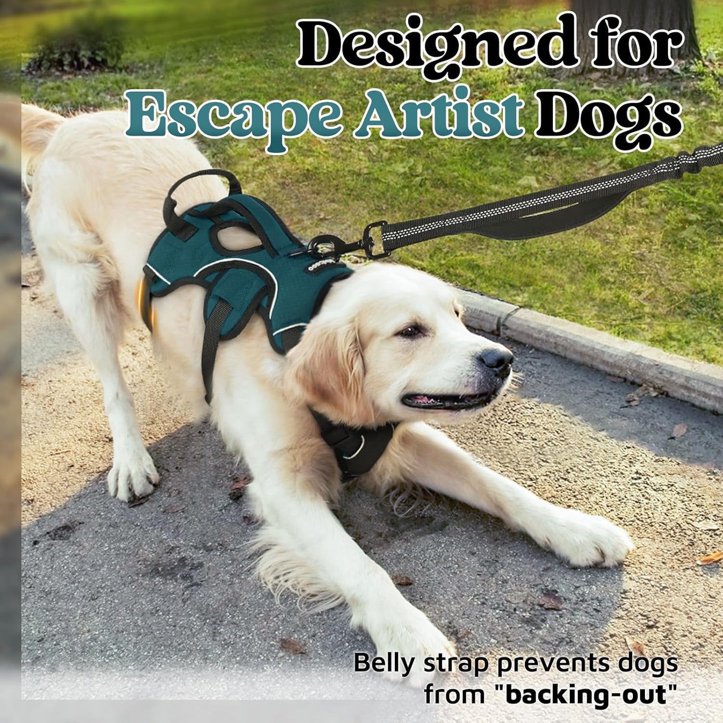 rabbitgoo Escape Proof Dog Harness, Soft Padded Full Body Pet Harness, Reflective Adjustable No Pull Vest with Lift Handle and Leash Clip for Large Dogs Walking Hiking Training, Dark Green, XL