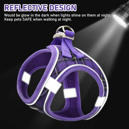 GAMUDA Small Dog Harness Collar and Leash Set, Step in No Chock No Pull Soft Mesh Adjustable Dog Vest Harnesses Plaid Reflective for Dogs Puppy Cats Kitten Rabbit (Purple, S)