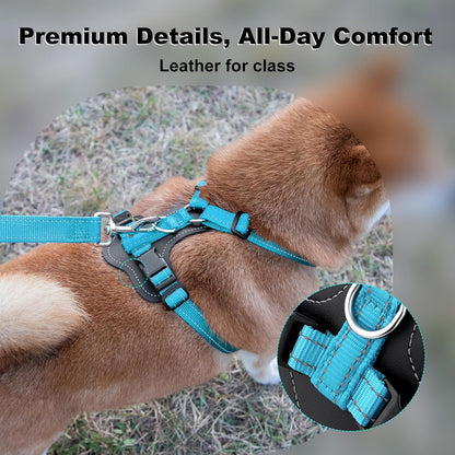 Plutus Pet Adjustable No Pull Dog Harness with Leather Accents, Heavy Duty Reflective Nylon Vest for Training, Hiking, Easy Walk Harness for Small, Medium, Large Dogs (Light Blue, L)