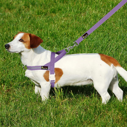 Plutus Pet Cotton Dog Harness and Leash Set, Reflective and Soft Padded, Quick Fit Vest Harness, for Small, Medium and Large Dogs, Medium Purple, L