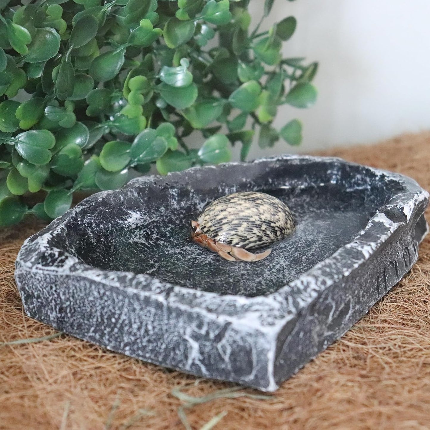 3 Pack Resin Reptile Dish for Food and Water, Hermit Crab Accessories, Hermit Crab Supplies, Hermit Crab Water Bowl, Habitat Accessories for Hermit Crab, Bearded Dragon, Gecko, Tortoise