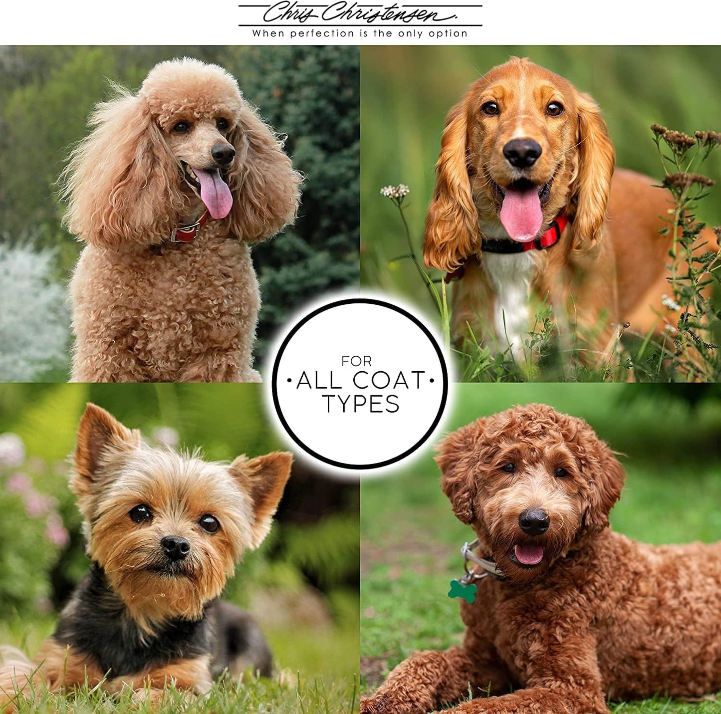 Chris Christensen Karben I Slicker Brush for Dogs, Groom Like a Professional, Ideal For All Coat Types, Remove Shedding Coat, Tangles and Dead Undercoat, 17 mm Stainless Steel Pins, Extra Small