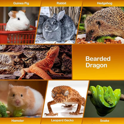 WATFOON Adjustable Lizard Leather Leash Harness and Bearded Dragon Carrier Sling, Reptile Small Pet Training Leashes and Beardie Snuggle Bag for Outdoor Travel(XL Grey Sling)