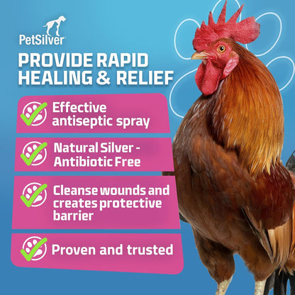 PetSilver Chicken Wound Spray for Chickens & Birds - Patented Silver Solution - Silver Spray for Wounds, Pecking Sores, Bumblefoot, Cuts, Burns, & Skin Irritations - Chicken Care - USA Made - 12 fl oz